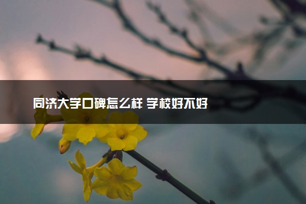 同济大学口碑怎么样 学校好不好