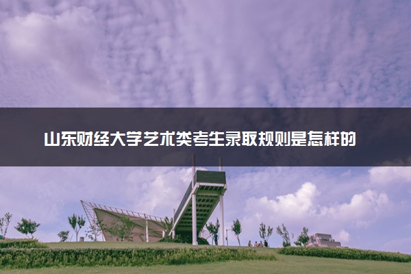 山东财经大学艺术类考生录取规则是怎样的 有哪些要求