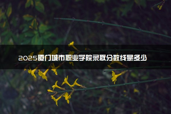 2025厦门城市职业学院录取分数线是多少 各省最低分数线汇总