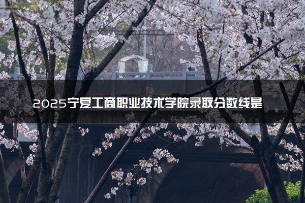 2025宁夏工商职业技术学院录取分数线是多少 各省最低分数线汇总