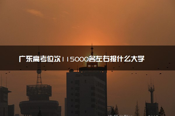 广东高考位次115000名左右报什么大学好（2025年参考）