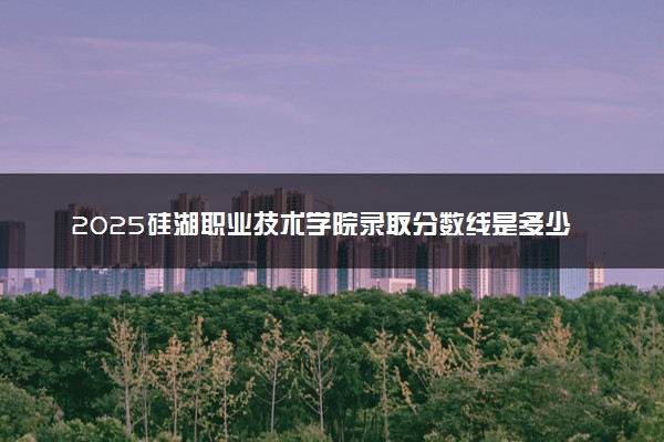 2025硅湖职业技术学院录取分数线是多少 各省最低分数线汇总