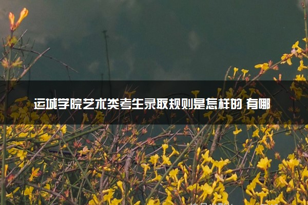 运城学院艺术类考生录取规则是怎样的 有哪些要求