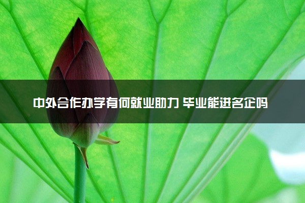 中外合作办学有何就业助力 毕业能进名企吗