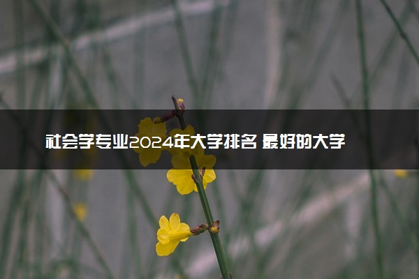 社会学专业2024年大学排名 最好的大学排行榜