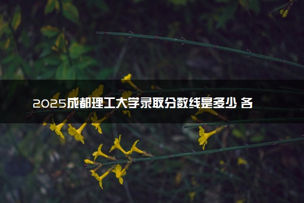 2025成都理工大学录取分数线是多少 各省最低分数线汇总