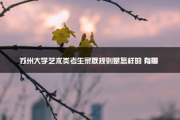 苏州大学艺术类考生录取规则是怎样的 有哪些要求