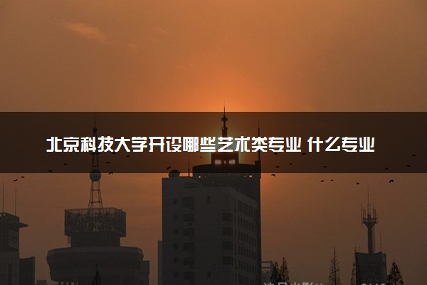 北京科技大学开设哪些艺术类专业 什么专业前景好