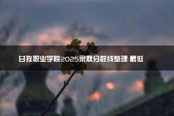 甘孜职业学院2025录取分数线整理 最低多少分可以考上