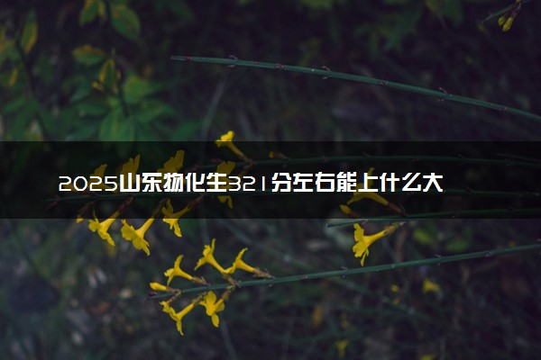 2025山东物化生321分左右能上什么大学 可以报考的院校名单