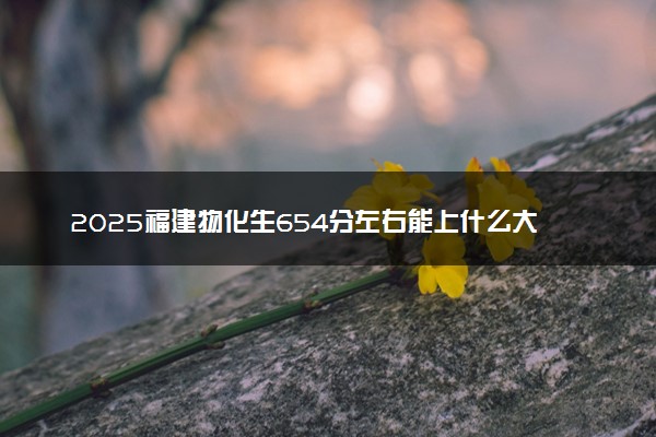 2025福建物化生654分左右能上什么大学 可以报考的院校名单