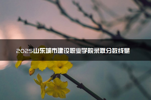 2025山东城市建设职业学院录取分数线是多少 各省最低分数线汇总