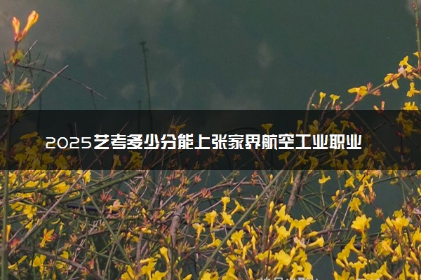 2025艺考多少分能上张家界航空工业职业技术学院 最低分数线是多少