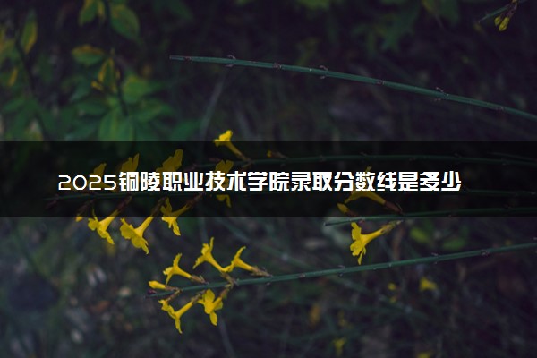 2025铜陵职业技术学院录取分数线是多少 各省最低分数线汇总