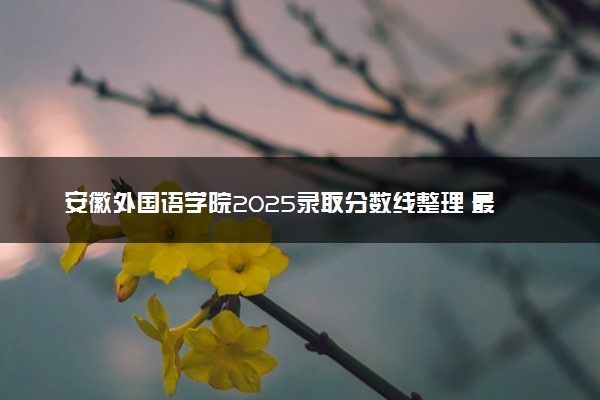 安徽外国语学院2025录取分数线整理 最低多少分可以考上