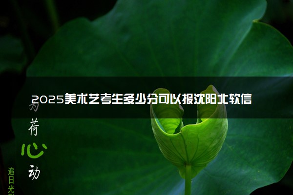 2025美术艺考生多少分可以报沈阳北软信息职业技术学院