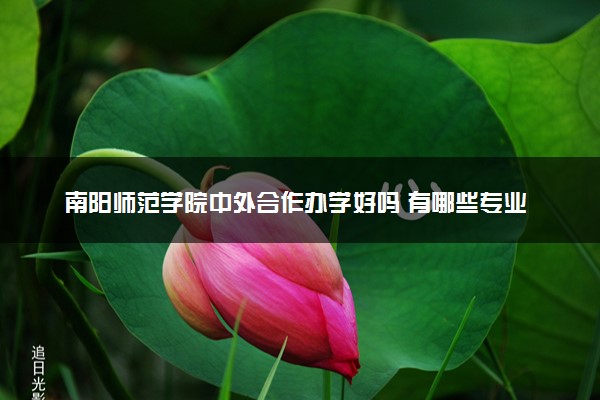 南阳师范学院中外合作办学好吗 有哪些专业