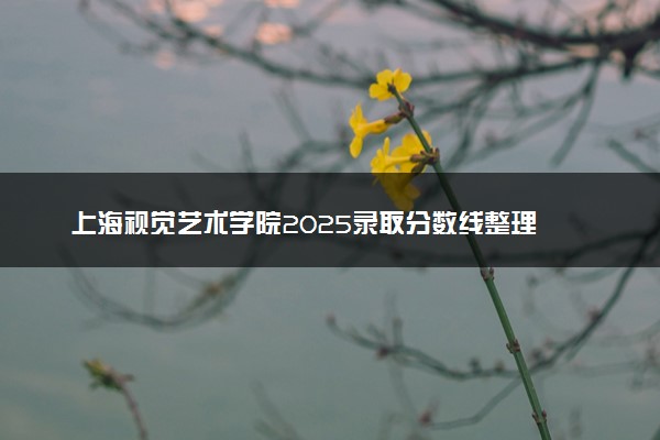 上海视觉艺术学院2025录取分数线整理 最低多少分可以考上