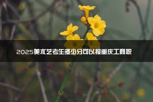 2025美术艺考生多少分可以报重庆工商职业学院