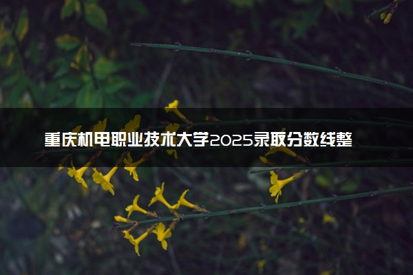 重庆机电职业技术大学2025录取分数线整理 最低多少分可以考上