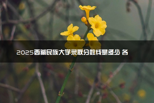 2025西藏民族大学录取分数线是多少 各省最低分数线汇总