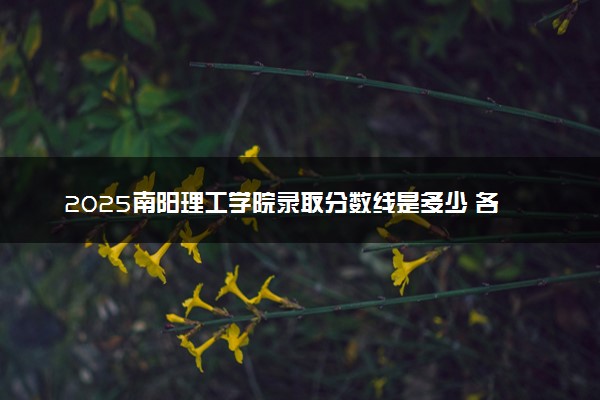 2025南阳理工学院录取分数线是多少 各省最低分数线汇总