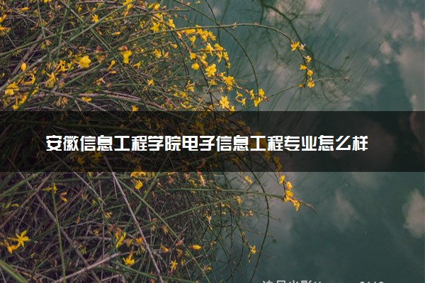 安徽信息工程学院电子信息工程专业怎么样 录取分数线多少