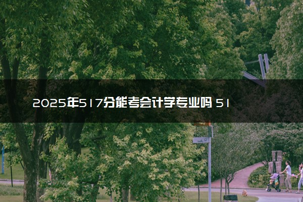 2025年517分能考会计学专业吗 517分会计学专业大学推荐