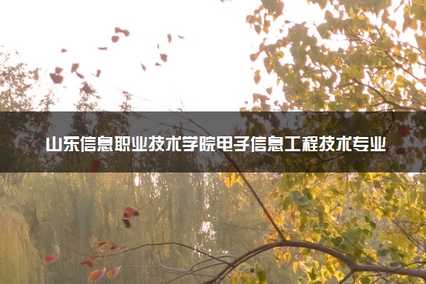 山东信息职业技术学院电子信息工程技术专业怎么样 录取分数线多少