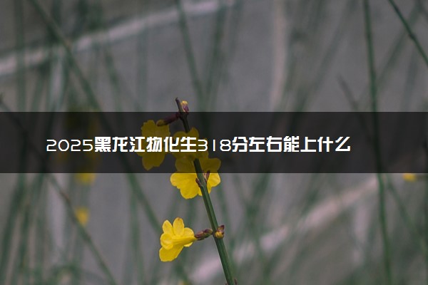 2025黑龙江物化生318分左右能上什么大学 可以报考的院校名单