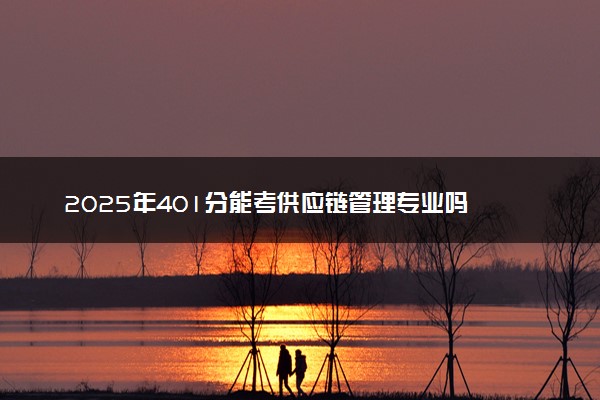 2025年401分能考供应链管理专业吗 401分供应链管理专业大学推荐