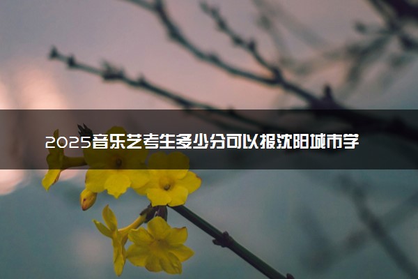 2025音乐艺考生多少分可以报沈阳城市学院