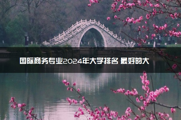 国际商务专业2024年大学排名 最好的大学排行榜