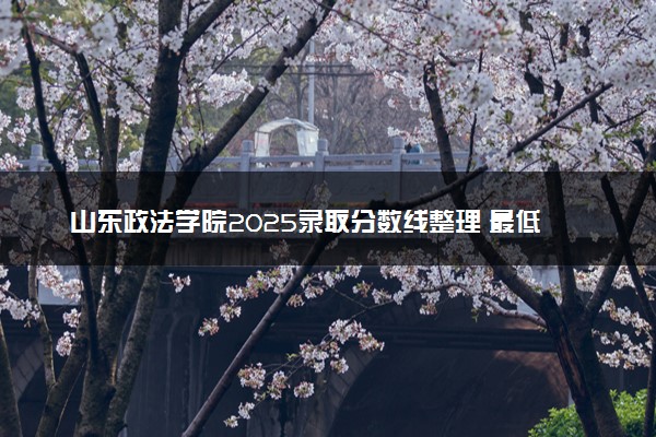 山东政法学院2025录取分数线整理 最低多少分可以考上