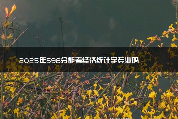 2025年598分能考经济统计学专业吗 598分经济统计学专业大学推荐