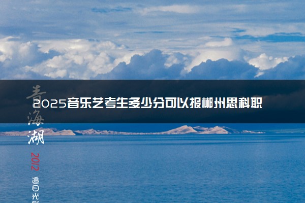 2025音乐艺考生多少分可以报郴州思科职业学院