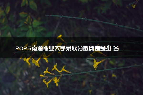 2025南通职业大学录取分数线是多少 各省最低分数线汇总