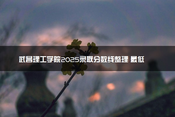 武昌理工学院2025录取分数线整理 最低多少分可以考上