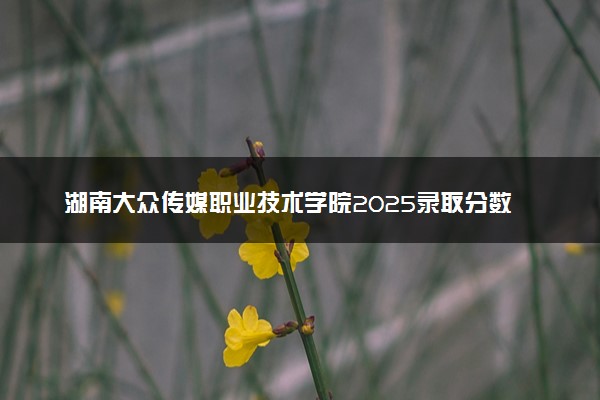 湖南大众传媒职业技术学院2025录取分数线整理 最低多少分可以考上