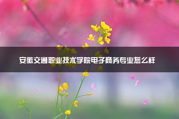 安徽交通职业技术学院电子商务专业怎么样 录取分数线多少