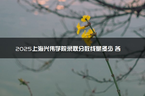 2025上海兴伟学院录取分数线是多少 各省最低分数线汇总