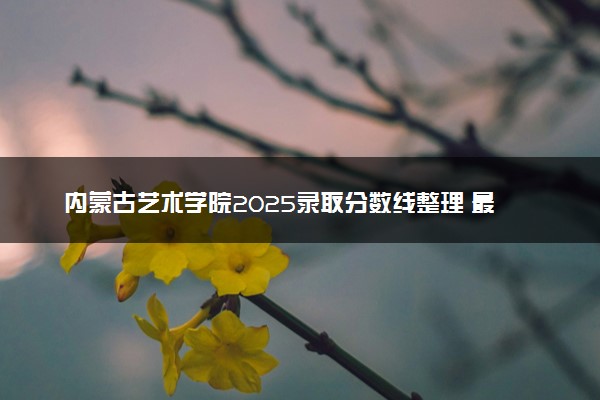 内蒙古艺术学院2025录取分数线整理 最低多少分可以考上