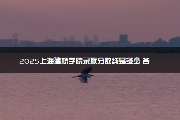 2025上海建桥学院录取分数线是多少 各省最低分数线汇总