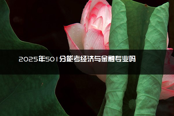 2025年501分能考经济与金融专业吗 501分经济与金融专业大学推荐