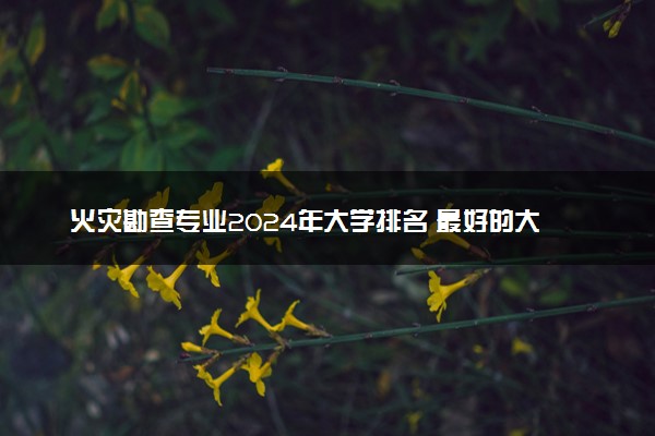 火灾勘查专业2024年大学排名 最好的大学排行榜