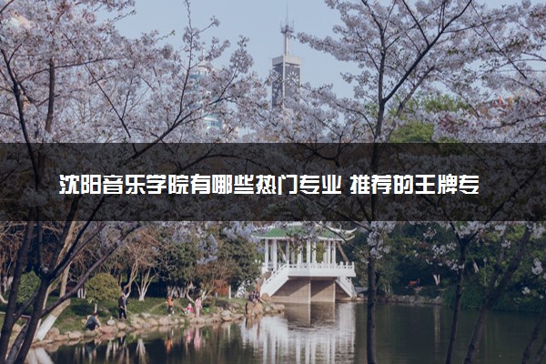 沈阳音乐学院有哪些热门专业 推荐的王牌专业