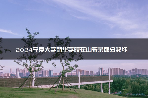 2024宁夏大学新华学院在山东录取分数线 各专业分数及位次