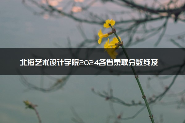 北海艺术设计学院2024各省录取分数线及最低位次是多少