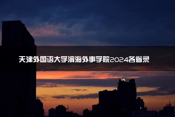 天津外国语大学滨海外事学院2024各省录取分数线及最低位次是多少