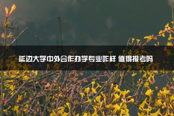 延边大学中外合作办学专业咋样 值得报考吗